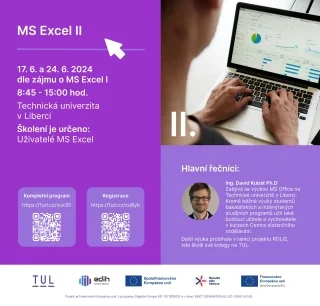 MS Excel II